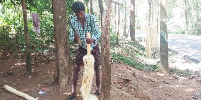 കോന്നി തണ്ണിത്തോട് റോഡില് ഇഞ്ചവെട്ട് സംഘങ്ങള് സജ്ജീവം കോന്നി തണ്ണിത്തോട് റോഡില് ഇഞ്ചവെട്ട് സംഘങ്ങള് സജ്ജീവം