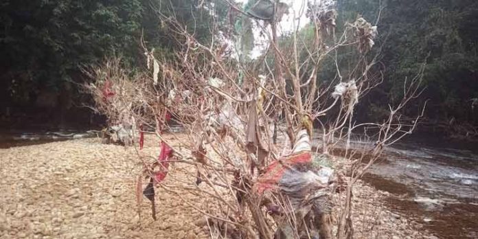 മാലിന്യ വാഹിനിയായി കല്ലാര് ; തീരങ്ങളില് അടിഞ്ഞുകൂടുന്ന മാലിന്യങ്ങള് വന്യമൃഗങ്ങള്ക്കും ഭീഷണിയാകുന്നു മാലിന്യ വാഹിനിയായി കല്ലാര് ; തീരങ്ങളില് അടിഞ്ഞുകൂടുന്ന മാലിന്യങ്ങള് വന്യമൃഗങ്ങള്ക്കും ഭീഷണിയാകുന്നു