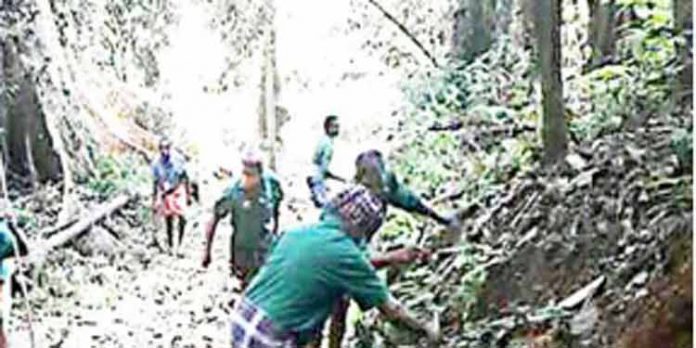 പരമ്പരാഗത കാനനപാത വെട്ടിത്തെളിച്ചു തുടങ്ങി പരമ്പരാഗത കാനനപാത വെട്ടിത്തെളിച്ചു തുടങ്ങി