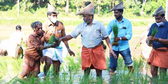 സംസ്ഥാനത്ത് ഒരിഞ്ച് മണ്ണുപോലും തരിശുഭൂമിയില്ലാതെ കൃഷിയോഗ്യമാക്കുക ലക്ഷ്യം ; മന്ത്രി പി.പ്രസാദ് സംസ്ഥാനത്ത് ഒരിഞ്ച് മണ്ണുപോലും തരിശുഭൂമിയില്ലാതെ കൃഷിയോഗ്യമാക്കുക ലക്ഷ്യം ; മന്ത്രി പി.പ്രസാദ്