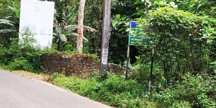 റോഡിലെ ദിശാ ബോർഡുകൾ കാടു മൂടി ; യാത്രക്കാർക്ക് ബുദ്ധിമുട്ട് ഉണ്ടാക്കുന്നു റോഡിലെ ദിശാ ബോർഡുകൾ കാടു മൂടി ; യാത്രക്കാർക്ക് ബുദ്ധിമുട്ട് ഉണ്ടാക്കുന്നു