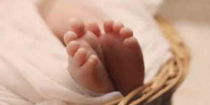 സംസ്ഥാനത്ത് ശിശുജനനനിരക്ക് കുറഞ്ഞു ; ഏറ്റവും കുറവ് മലപ്പുറത്ത് – കണക്കുകള് പുറത്ത് സംസ്ഥാനത്ത് ശിശുജനനനിരക്ക് കുറഞ്ഞു ; ഏറ്റവും കുറവ് മലപ്പുറത്ത് – കണക്കുകള് പുറത്ത്