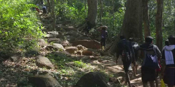 ശബരിമല തീർത്ഥാടനം : കാനന പാത വഴിയുള്ള തീർത്ഥാടന സമയം ദീർഘിപ്പിച്ചു ശബരിമല തീർത്ഥാടനം : കാനന പാത വഴിയുള്ള തീർത്ഥാടന സമയം ദീർഘിപ്പിച്ചു
