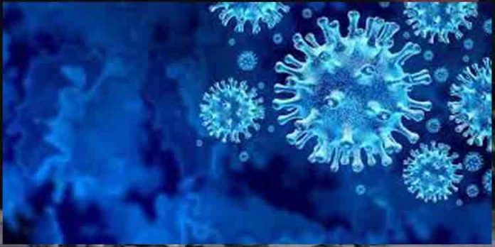 കൊവിഡ് പ്രതിരോധം : വാര്ഡുതല സമിതികള് ശക്തിപ്പെടുത്തും കൊവിഡ് പ്രതിരോധം : വാര്ഡുതല സമിതികള് ശക്തിപ്പെടുത്തും