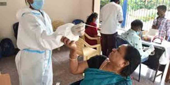 ഇടുക്കിയില് 1435 പേര്ക്ക് കൂടി കോവിഡ് സ്ഥിരീകരിച്ചു ഇടുക്കിയില് 1435 പേര്ക്ക് കൂടി കോവിഡ് സ്ഥിരീകരിച്ചു