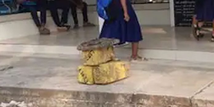 അങ്കമാലി പുളിയനത്ത് പോലീസ് സംരക്ഷണത്തോടെ നാട്ടിയ സർവേ കല്ലുകൾ പിഴുതുമാറ്റി അങ്കമാലി പുളിയനത്ത് പോലീസ് സംരക്ഷണത്തോടെ നാട്ടിയ സർവേ കല്ലുകൾ പിഴുതുമാറ്റി