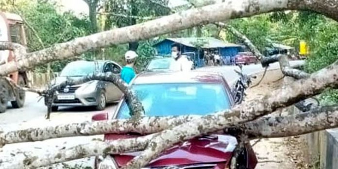 കാര് നിര്ത്തി പുറത്തിറങ്ങിയ സോഫ്റ്റ് വെയര് എഞ്ചിനീയര് മരം ദേഹത്ത് വീണ് മരിച്ചു കാര് നിര്ത്തി പുറത്തിറങ്ങിയ സോഫ്റ്റ് വെയര് എഞ്ചിനീയര് മരം ദേഹത്ത് വീണ് മരിച്ചു