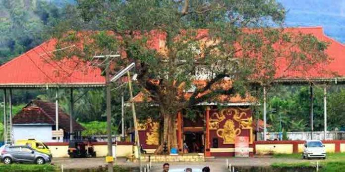 അഖിലേന്ത്യാ ഉത്രാളിക്കാവ് പൂരം പ്രദര്ശനം ഈ വര്ഷം മുതല് വീണ്ടും ആരംഭിക്കും അഖിലേന്ത്യാ ഉത്രാളിക്കാവ് പൂരം പ്രദര്ശനം ഈ വര്ഷം മുതല് വീണ്ടും ആരംഭിക്കും