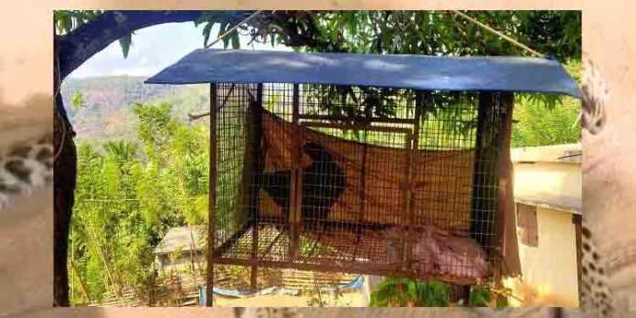 വന്യമൃഗശല്യം രൂക്ഷം ; വളര്ത്തുമൃഗങ്ങളെയും പക്ഷികളെയും സംരക്ഷിക്കാന് കൂടുകള് മരച്ചില്ലകളില് കെട്ടിത്തൂക്കി വന്യമൃഗശല്യം രൂക്ഷം ; വളര്ത്തുമൃഗങ്ങളെയും പക്ഷികളെയും സംരക്ഷിക്കാന് കൂടുകള് മരച്ചില്ലകളില് കെട്ടിത്തൂക്കി