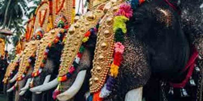 എഴുന്നള്ളിപ്പിന് ഒരു ആന മാത്രം ; തൃശൂര് ജില്ലയില് വീണ്ടും ഉത്സവങ്ങള്ക്ക് നിയന്ത്രണം എഴുന്നള്ളിപ്പിന് ഒരു ആന മാത്രം ; തൃശൂര് ജില്ലയില് വീണ്ടും ഉത്സവങ്ങള്ക്ക് നിയന്ത്രണം