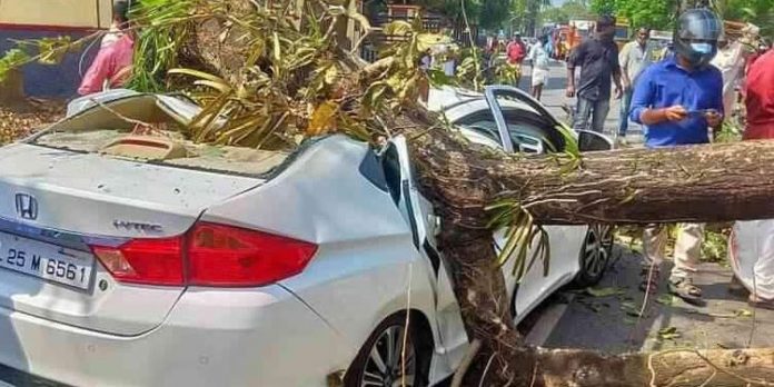 ഓടിക്കൊണ്ടിരുന്ന കാറിന് മുകളിലേക്ക് മരത്തിന്റെ ശിഖരം ഒടിഞ്ഞുവീണു ; യാത്രികക്ക് ഗുരുതര പരിക്ക് ഓടിക്കൊണ്ടിരുന്ന കാറിന് മുകളിലേക്ക് മരത്തിന്റെ ശിഖരം ഒടിഞ്ഞുവീണു ; യാത്രികക്ക് ഗുരുതര പരിക്ക്