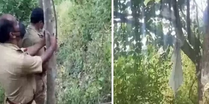 റബര് തോട്ടത്തില് അഴുകിയ നിലയില് മൃതദേഹം കണ്ടെത്തി റബര് തോട്ടത്തില് അഴുകിയ നിലയില് മൃതദേഹം കണ്ടെത്തി