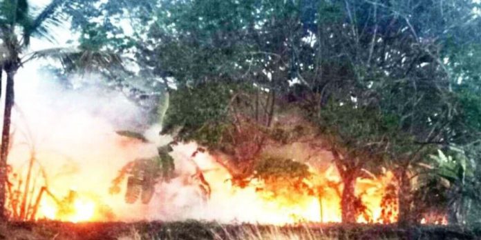 നായത്തോട് ഡിവൈന് ഹോസ്പിറ്റലിന് പിറകുവശത്തെ പാടശേഖരത്തിന് തീപിടിച്ചു നായത്തോട് ഡിവൈന് ഹോസ്പിറ്റലിന് പിറകുവശത്തെ പാടശേഖരത്തിന് തീപിടിച്ചു