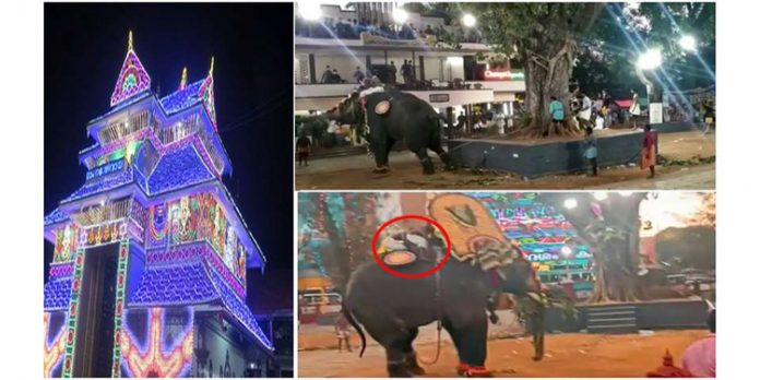 കൂർക്കഞ്ചേരിയിൽ തൈപ്പൂയ ആഘോഷത്തിനിടെ ആനയിടഞ്ഞു കൂർക്കഞ്ചേരിയിൽ തൈപ്പൂയ ആഘോഷത്തിനിടെ ആനയിടഞ്ഞു