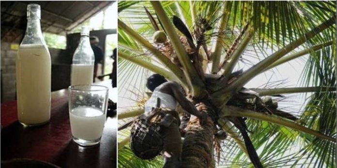 പണിമുടക്ക് സമരം ഒത്തുതീര്പ്പാക്കാന് സര്ക്കാര് അടിയന്തിരമായി ഇടപെടണം ; ചെത്തുതൊഴിലാളി യൂണിയൻ പണിമുടക്ക് സമരം ഒത്തുതീര്പ്പാക്കാന് സര്ക്കാര് അടിയന്തിരമായി ഇടപെടണം ; ചെത്തുതൊഴിലാളി യൂണിയൻ