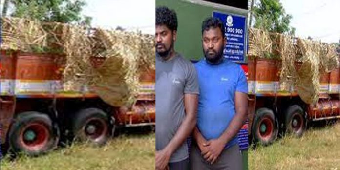 ചേർത്തലയിൽ വൻ ലഹരിമരുന്ന് വേട്ട ; പ്രതികൾ റിമാൻഡിൽ ചേർത്തലയിൽ വൻ ലഹരിമരുന്ന് വേട്ട ; പ്രതികൾ റിമാൻഡിൽ
