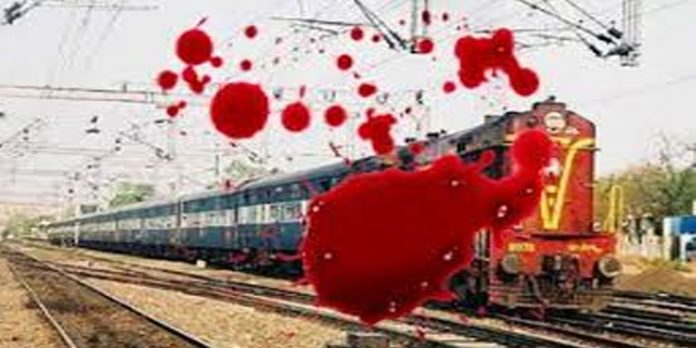 റെയില്പാളം മുറിച്ച് കടക്കുന്നതിനിടെ ട്രെയിന് തട്ടി പിതാവും മകളും മരിച്ചു റെയില്പാളം മുറിച്ച് കടക്കുന്നതിനിടെ ട്രെയിന് തട്ടി പിതാവും മകളും മരിച്ചു