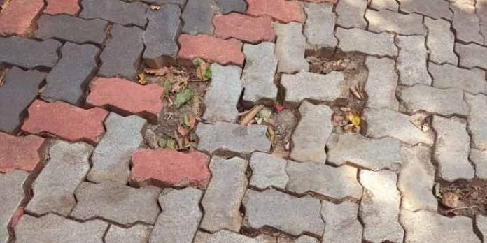 ഇന്റര്ലോക്ക് കട്ടകള് ഇളകിമാറുന്നത് അപകട സാധ്യത വര്ധിപ്പിക്കുന്നു ഇന്റര്ലോക്ക് കട്ടകള് ഇളകിമാറുന്നത് അപകട സാധ്യത വര്ധിപ്പിക്കുന്നു
