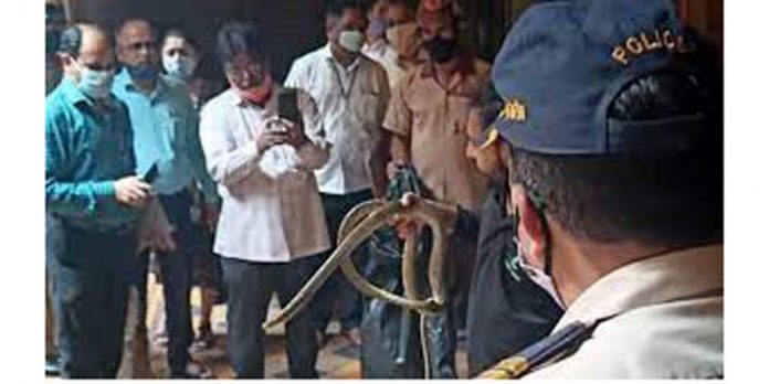 ജഡ്ജിയുടെ ചേംബറിനുള്ളില് കൂറ്റന് പാമ്പ് ; വൈറലായി വീഡിയോ ജഡ്ജിയുടെ ചേംബറിനുള്ളില് കൂറ്റന് പാമ്പ് ; വൈറലായി വീഡിയോ