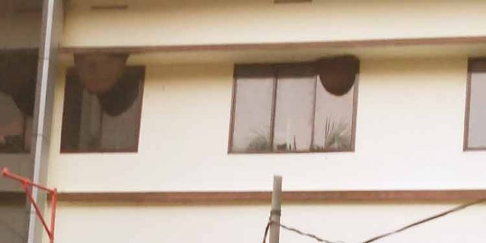 പെരുന്തേനരുവി വിനോദ സഞ്ചാര കേന്ദ്രത്തില് സഞ്ചാരികള്ക്ക് ഭീക്ഷണിയായി തേനീച്ച കൂട് പെരുന്തേനരുവി വിനോദ സഞ്ചാര കേന്ദ്രത്തില് സഞ്ചാരികള്ക്ക് ഭീക്ഷണിയായി തേനീച്ച കൂട്