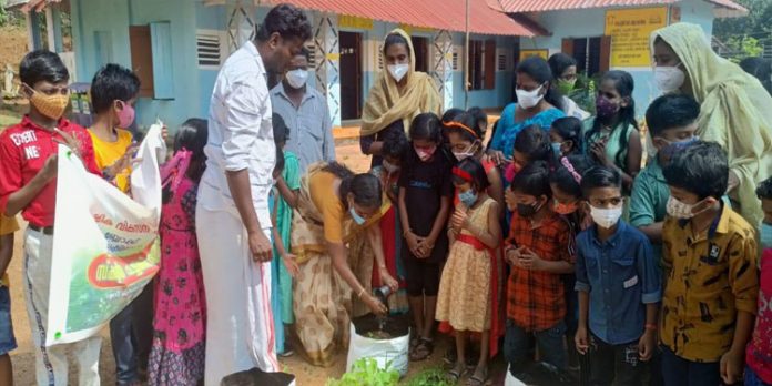 ഗ്രോ ബാഗ് പച്ചക്കറി കൃഷി പാടം ഉദ്ഘാടനം ചെയ്തു ഗ്രോ ബാഗ് പച്ചക്കറി കൃഷി പാടം ഉദ്ഘാടനം ചെയ്തു