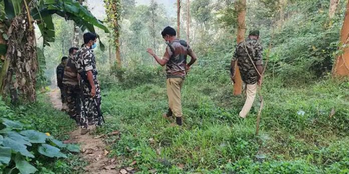 തലയോട്ടിയും അസ്ഥികഷ്ണങ്ങളും കണ്ടെത്തിയ സംഭവം ; വീണ്ടും തെരച്ചില് നടത്തി തലയോട്ടിയും അസ്ഥികഷ്ണങ്ങളും കണ്ടെത്തിയ സംഭവം ; വീണ്ടും തെരച്ചില് നടത്തി