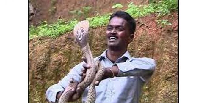 ഇനിയും വീടുകളില് പാമ്പു കയറിയാല് പഴയപോലെ തന്നെ പാഞ്ഞെത്തും : വാവ സുരേഷ് ഇനിയും വീടുകളില് പാമ്പു കയറിയാല് പഴയപോലെ തന്നെ പാഞ്ഞെത്തും : വാവ സുരേഷ്