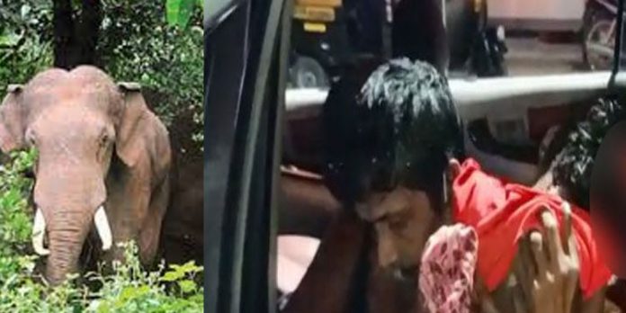 മുത്തശ്ശിയുടെ മരണാനന്തര ചടങ്ങില് പങ്കെടുക്കാനെത്തിയ കുട്ടിയെ ആന ചവിട്ടി കൊന്നു മുത്തശ്ശിയുടെ മരണാനന്തര ചടങ്ങില് പങ്കെടുക്കാനെത്തിയ കുട്ടിയെ ആന ചവിട്ടി കൊന്നു