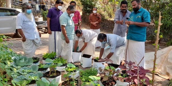 ‘വിഷുവിന് വിഷ രഹിത പച്ചക്കറി’ ; ജൈവ പച്ചക്കറി കൃഷി ഉദ്ഘാടനം ചെയ്തു ‘വിഷുവിന് വിഷ രഹിത പച്ചക്കറി’ ; ജൈവ പച്ചക്കറി കൃഷി ഉദ്ഘാടനം ചെയ്തു