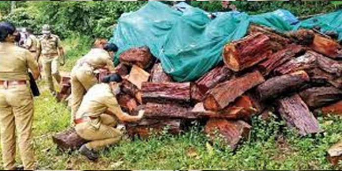 മുട്ടിൽ മരം മുറി കേസ് ; അന്വേഷണം സംഘം സമർപ്പിച്ച റിപ്പോർട്ട് എഡിജിപി മടക്കി മുട്ടിൽ മരം മുറി കേസ് ; അന്വേഷണം സംഘം സമർപ്പിച്ച റിപ്പോർട്ട് എഡിജിപി മടക്കി
