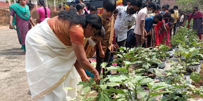 സ്കൂള് തോട്ടത്തില് പച്ചക്കറി വിളവെടുപ്പ് നടന്നു സ്കൂള് തോട്ടത്തില് പച്ചക്കറി വിളവെടുപ്പ് നടന്നു