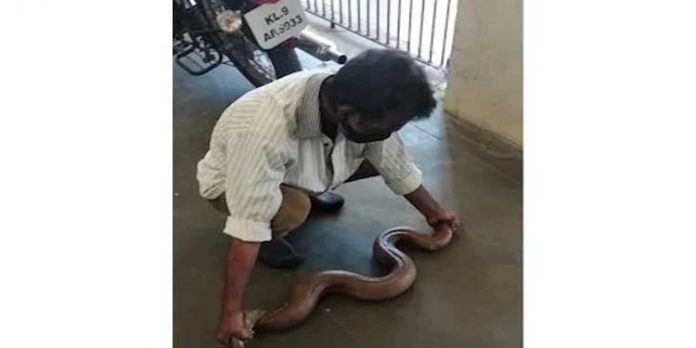 ഇരുതലമൂരിയുമായി മലപ്പുറം സ്വദേശി റെയില്വേ ക്രൈം ഇന്റലിജന്സിന്റെ പിടിയില് ഇരുതലമൂരിയുമായി മലപ്പുറം സ്വദേശി റെയില്വേ ക്രൈം ഇന്റലിജന്സിന്റെ പിടിയില്