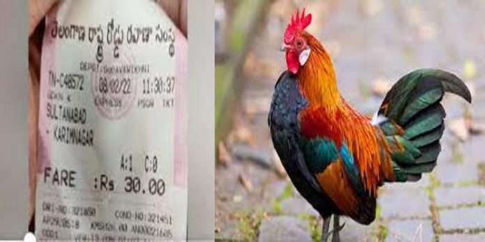 ബസില് കയറിയ പൂവന്കോഴിക്ക് 30 രൂപ ടിക്കറ്റ് മുറിച്ച് കണ്ടക്ടര് ബസില് കയറിയ പൂവന്കോഴിക്ക് 30 രൂപ ടിക്കറ്റ് മുറിച്ച് കണ്ടക്ടര്
