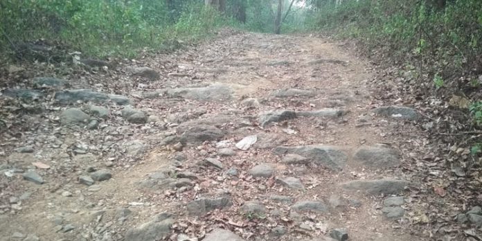 അഞ്ചുകുഴി കുടപ്പനക്കുളം റോഡ് സഞ്ചാര യോഗ്യമാക്കണം അഞ്ചുകുഴി കുടപ്പനക്കുളം റോഡ് സഞ്ചാര യോഗ്യമാക്കണം