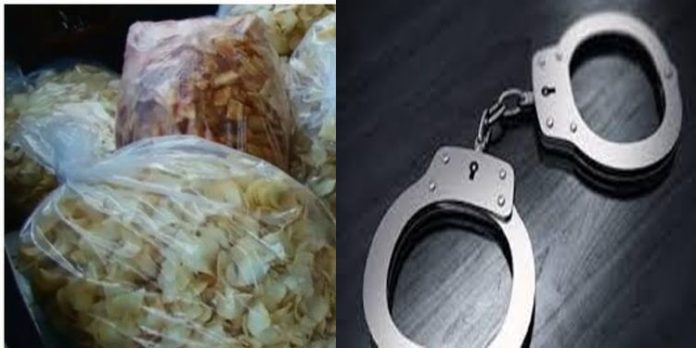 കായ വറുത്തതിലൊളിപ്പിച്ച് കഞ്ചാവ് കടത്ത് ; കൊടുങ്ങല്ലൂരിൽ രണ്ട് പേർ പിടിയിൽ കായ വറുത്തതിലൊളിപ്പിച്ച് കഞ്ചാവ് കടത്ത് ; കൊടുങ്ങല്ലൂരിൽ രണ്ട് പേർ പിടിയിൽ