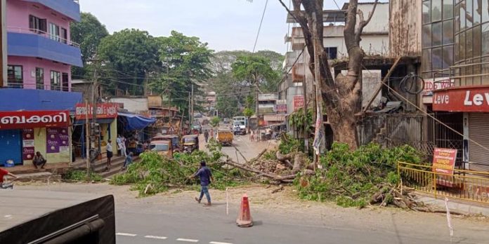 തണലേകിയ മരം ഇനി ഓർമ്മ ; മാമ്മുക്ക് ജംഗ്ഷനിലെ തണൽ മരം മുറിച്ചുമാറ്റുന്ന ജോലികൾ ആരംഭിച്ചു തണലേകിയ മരം ഇനി ഓർമ്മ ; മാമ്മുക്ക് ജംഗ്ഷനിലെ തണൽ മരം മുറിച്ചുമാറ്റുന്ന ജോലികൾ ആരംഭിച്ചു