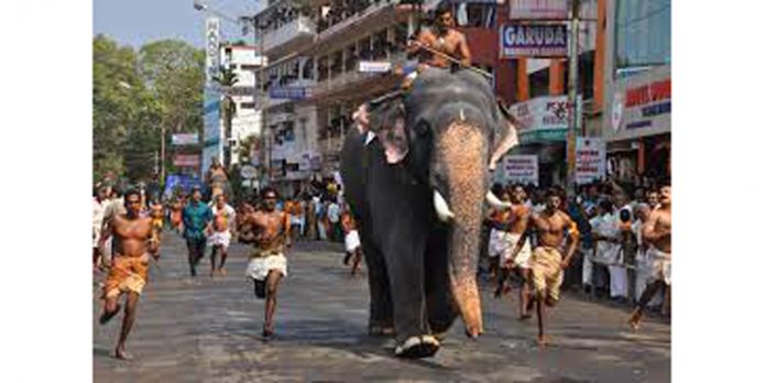 പ്രസിദ്ധമായ ഗുരുവായൂർ ആനയോട്ടം മാർച്ച് 10ന് പ്രസിദ്ധമായ ഗുരുവായൂർ ആനയോട്ടം മാർച്ച് 10ന്