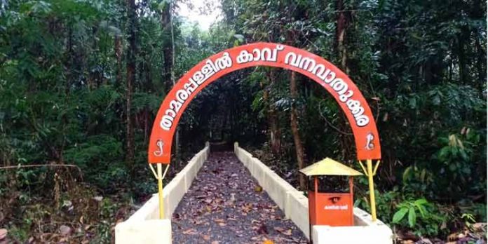 താമരപ്പള്ളിൽ കാവിലെ ആയില്യം പൂജ16 ന് താമരപ്പള്ളിൽ കാവിലെ ആയില്യം പൂജ16 ന്