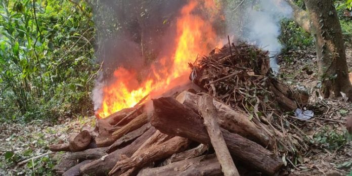 ചരിഞ്ഞ നിലയില് കണ്ടെത്തിയ കാട്ടാനയുടെ ജഢം സംസ്ക്കരിച്ചു ചരിഞ്ഞ നിലയില് കണ്ടെത്തിയ കാട്ടാനയുടെ ജഢം സംസ്ക്കരിച്ചു