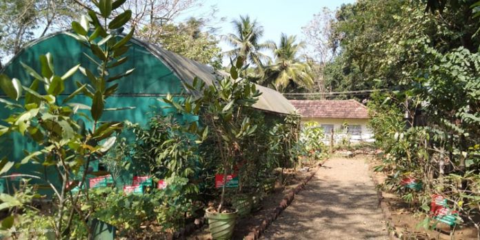 സഞ്ചാരികളുടെ ശ്രദ്ധയാകർഷിച്ച് കോന്നി ഇക്കോടൂറിസം സെൻ്ററിലെ ഔഷധ സസ്യ ഉദ്യാനവും നക്ഷത്രവനവും സഞ്ചാരികളുടെ ശ്രദ്ധയാകർഷിച്ച് കോന്നി ഇക്കോടൂറിസം സെൻ്ററിലെ ഔഷധ സസ്യ ഉദ്യാനവും നക്ഷത്രവനവും
