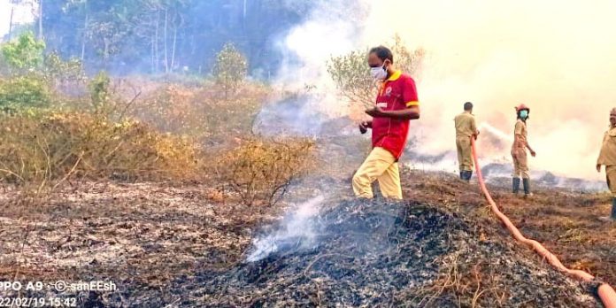 ഇലന്തൂര് അമൃതാ ഗ്യാസ് ഏജന്സിക്കു സമീപം തോട്ടത്തില് തീപിടുത്തം ഇലന്തൂര് അമൃതാ ഗ്യാസ് ഏജന്സിക്കു സമീപം തോട്ടത്തില് തീപിടുത്തം