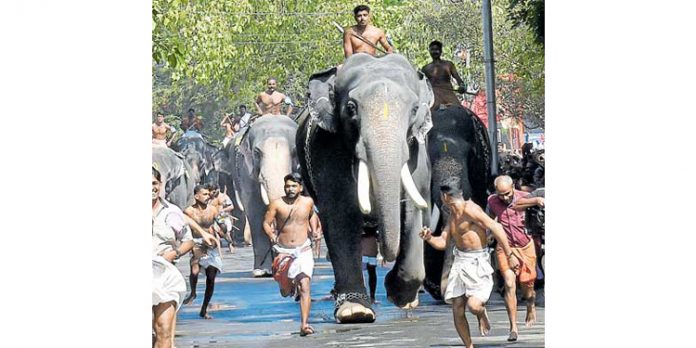 ഗുരുവായൂർ ആനയോട്ടം തിങ്കളാഴ്ച ഗുരുവായൂർ ആനയോട്ടം തിങ്കളാഴ്ച