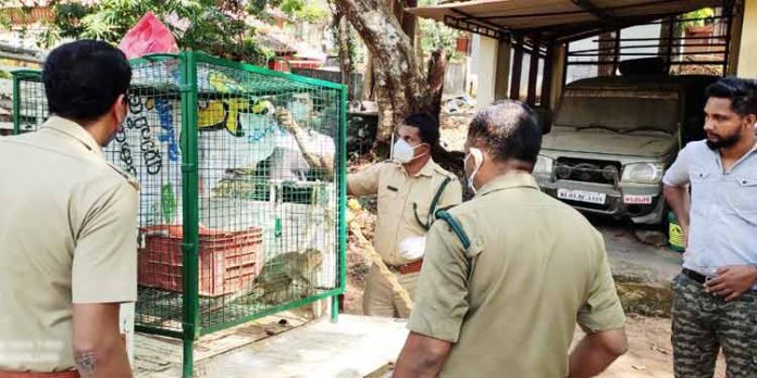 ജനവാസ മേഖലയില് അവശ നിലയില് കണ്ട കുരങ്ങിനെ കോന്നി ആനകൂട്ടിലെ വെറ്റിനറിയിൽ എത്തിച്ച് സ്ട്രൈക്കിങ് ഫോഴ്സ് ജനവാസ മേഖലയില് അവശ നിലയില് കണ്ട കുരങ്ങിനെ കോന്നി ആനകൂട്ടിലെ വെറ്റിനറിയിൽ എത്തിച്ച് സ്ട്രൈക്കിങ് ഫോഴ്സ്