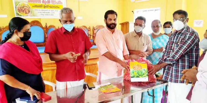 മഞ്ഞള്വിത്ത് വിതരണം നടത്തി മഞ്ഞള്വിത്ത് വിതരണം നടത്തി
