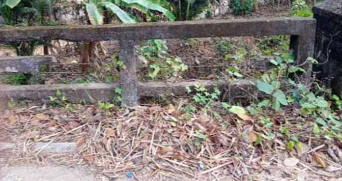 റോഡ് ഉന്നത നിലവാരത്തില് ; പാലങ്ങൾ അപകട ഭീഷണിയിൽ റോഡ് ഉന്നത നിലവാരത്തില് ; പാലങ്ങൾ അപകട ഭീഷണിയിൽ