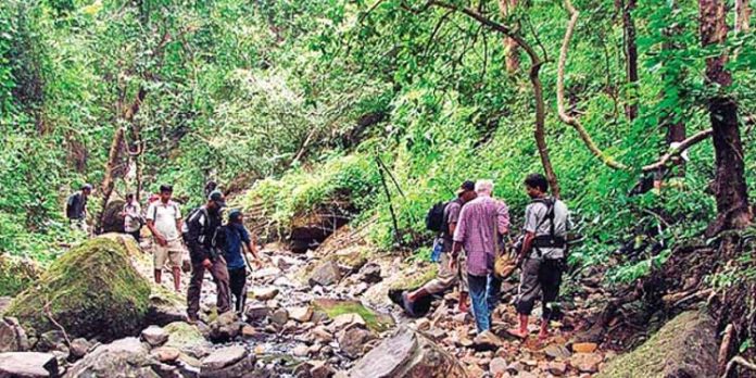 കാട് അറിഞ്ഞവർക്കൊപ്പം കാട് കയറണം ; ട്രെക്കിംഗ് നടത്തുമ്പോൾ ശ്രദ്ധിക്കേണ്ട കാര്യങ്ങൾ കാട് അറിഞ്ഞവർക്കൊപ്പം കാട് കയറണം ; ട്രെക്കിംഗ് നടത്തുമ്പോൾ ശ്രദ്ധിക്കേണ്ട കാര്യങ്ങൾ