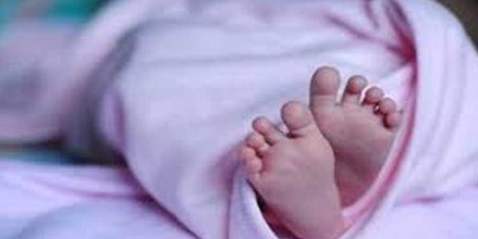 അട്ടപ്പാടിയില് വീണ്ടും ശിശുമരണം ; ഈ വര്ഷത്തെ രണ്ടാമത്തെ ശിശുമരണം അട്ടപ്പാടിയില് വീണ്ടും ശിശുമരണം ; ഈ വര്ഷത്തെ രണ്ടാമത്തെ ശിശുമരണം
