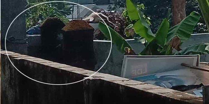 വര്ഷങ്ങളായി നാട്ടുകാര് ഉപയോഗിക്കുന്ന പൊതുകിണര് സ്വകാര്യ വ്യക്തി കെട്ടി അടച്ചതായി പരാതി വര്ഷങ്ങളായി നാട്ടുകാര് ഉപയോഗിക്കുന്ന പൊതുകിണര് സ്വകാര്യ വ്യക്തി കെട്ടി അടച്ചതായി പരാതി