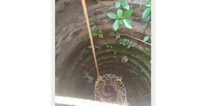 കിണറ്റിൽ കുടുങ്ങിയ യുവാവിനെ അഗ്നിശമന സേന രക്ഷപെടുത്തി കിണറ്റിൽ കുടുങ്ങിയ യുവാവിനെ അഗ്നിശമന സേന രക്ഷപെടുത്തി