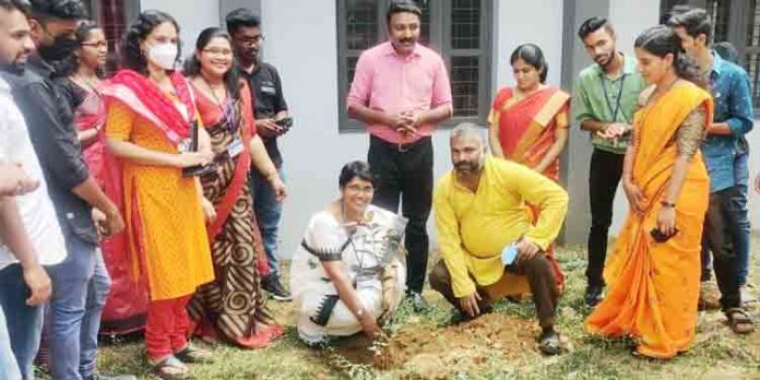 നന്മമരം ഗ്ളോബൽ ഫൗണ്ടേഷന്റെ ആഭിമുഖ്യത്തിൽ തുരൂത്തിക്കാട് ബി.എ.എം കോളജ് സ്വാശ്രയ വിഭാഗം കാമ്പസിൽ ഫല വൃക്ഷതൈ നട്ടു നന്മമരം ഗ്ളോബൽ ഫൗണ്ടേഷന്റെ ആഭിമുഖ്യത്തിൽ തുരൂത്തിക്കാട് ബി.എ.എം കോളജ് സ്വാശ്രയ വിഭാഗം കാമ്പസിൽ ഫല വൃക്ഷതൈ നട്ടു